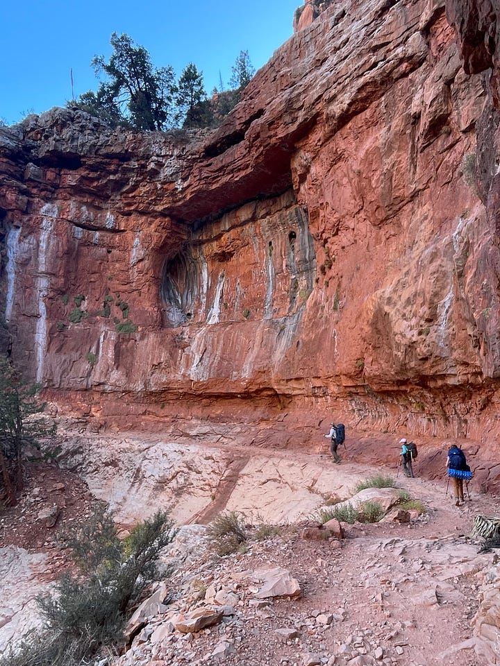 Two images of family of four backpacking through the Grand Canyon.