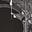 Saturnine Shrine's avatar
