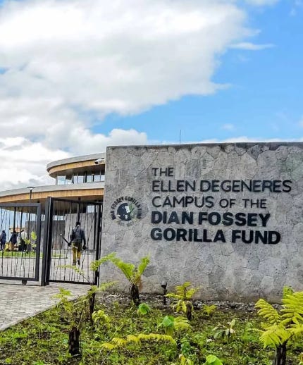 Women protecting Gorillas