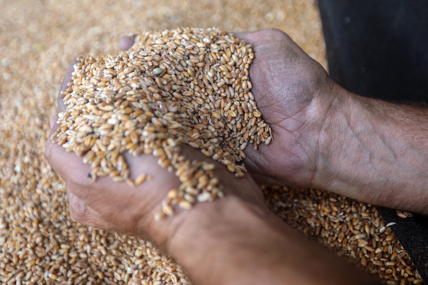 A worker handles wheat delivered to a milling facility in Chouf, Lebanon. A worker handles wheat delivered to a milling facility in Chouf, Lebanon.