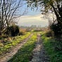 The Writing Path's avatar