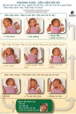 Feeding cues Feeding cues