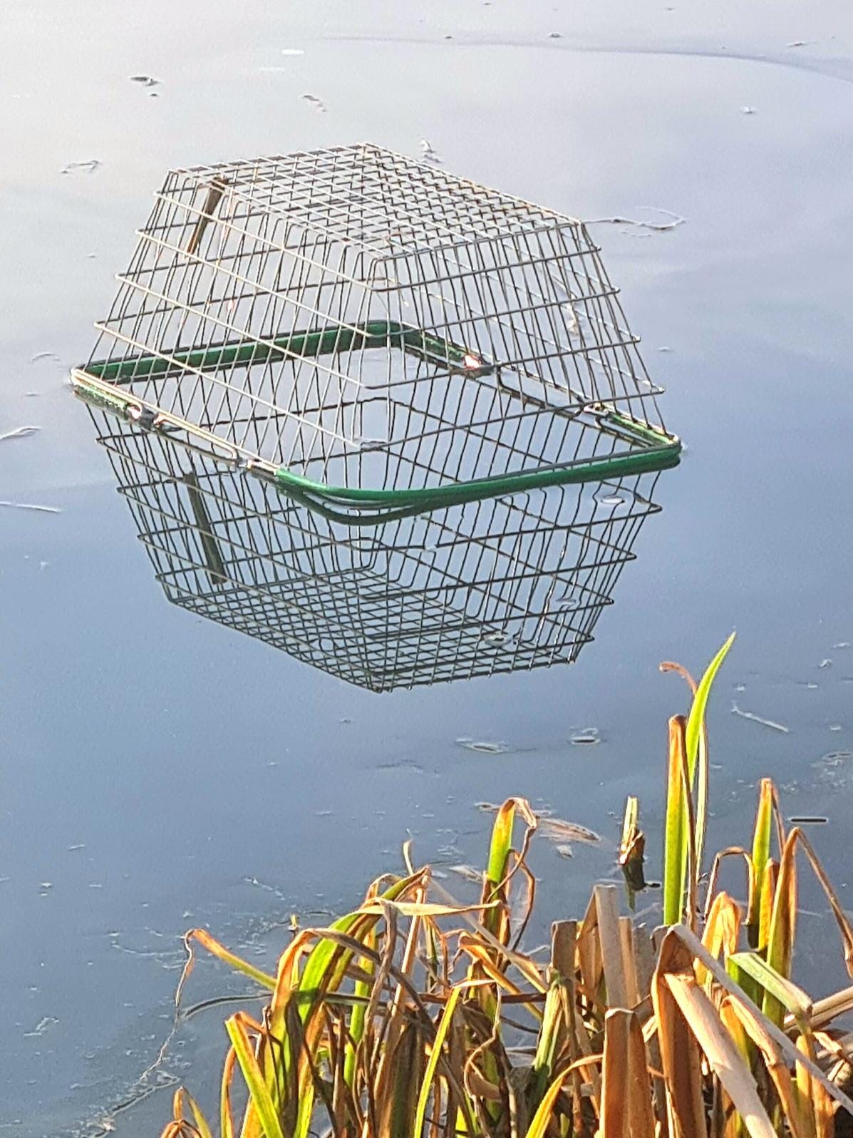 A shopping basket on crystal clear ice covered by a layer of water. The mirror-calm surface and its reflection nakes it look like a metal cage levitating in the air.