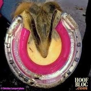 horse shoe horse shoe