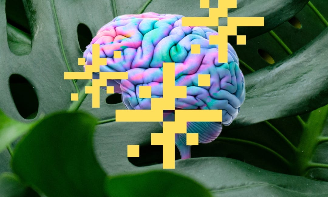 Fulfilment Begins in The Brain