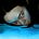 Asache's avatar