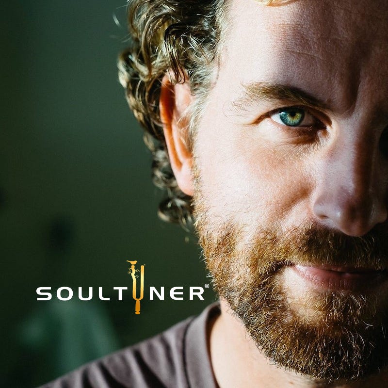 Maurice Spees- Intunity