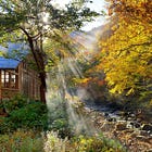 Blue Forests of Japan: Autumn Trip to Aomori