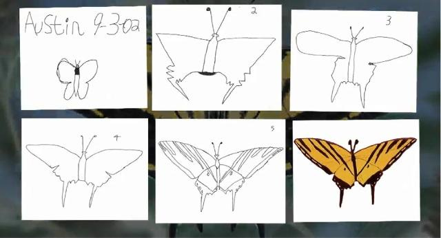 The Problem With Austin&#39;s Butterfly – Trivium 21c