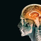The Psychology of Belief (Why Humans Need Something to Believe In)