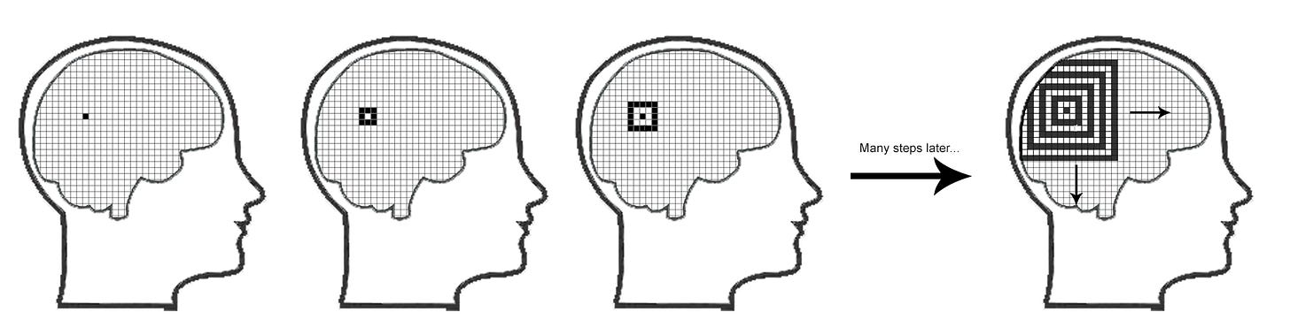 Book Review: Rhythms Of The Brain - by Scott Alexander