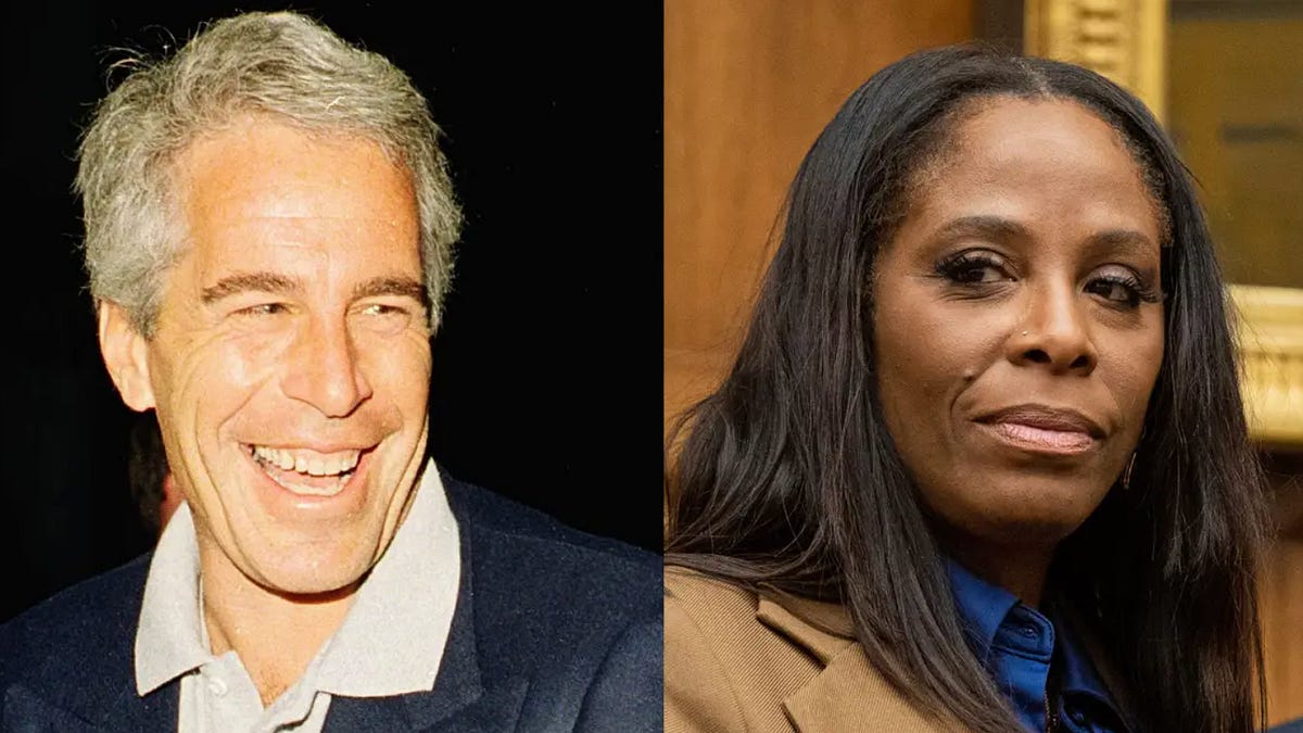 The Epstein Files by Julie K. Brown