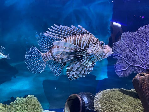 Aquaria KLCC