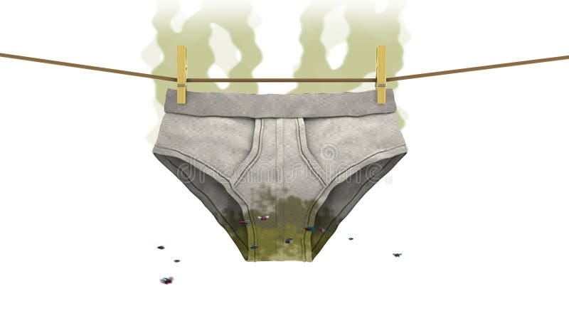 Dirty Underwear, 3d Illustration Stock Illustration - Illustration of  insect, faeces: 80352177