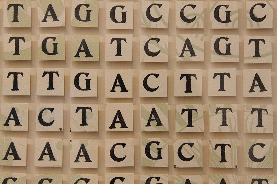 File:GATTACA (6364862491).jpg