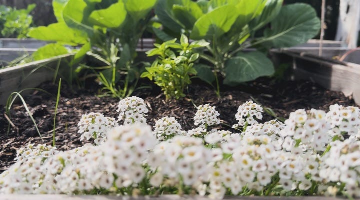 No photo description available.