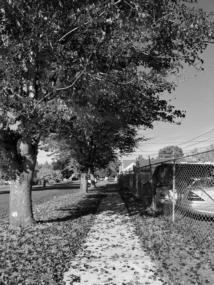 fall black and white photos