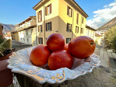 Top L-R: new elm and morning sun at Villa Olmo, sunbeam through west window, central Como blue sky, tarocco oranges in the wild, palm tree shadow show-off, mimosa flowers for women's day, tourist season starts with a shock and bang, more mimosa 🌼 more celebrating women, traghetto and sapphire waters