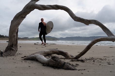 Assorted images of New Zealand's landscapes, from beaches to waterfalls to mountains and the milky way.