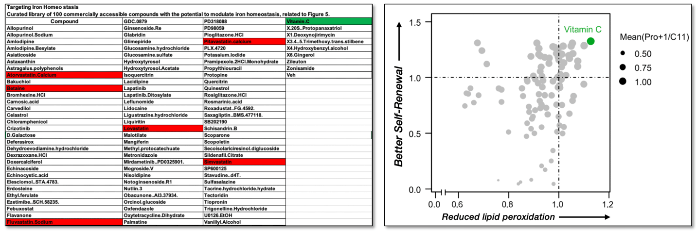 lipid peroxidation vitamin c Synergistic mechanisms of (ascorbate) and vitamin E antioxidants and hydrators for a brighter Experimental and clinical evidences on