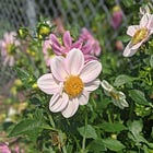 how to build an accountability system that works for you