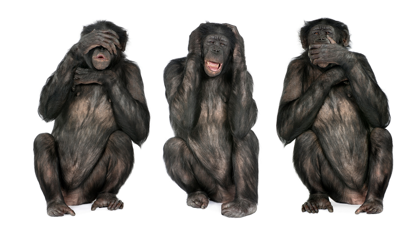 Three Monkeys