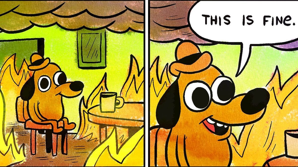 Why ‘This Is Fine’ Is the Meme This Year Deserves - The New York Times
