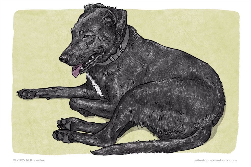 Illustration of dog lying with a slight pant, open mouth with Tonge protruding slightly. Illustration of dog lying with a slight pant, open mouth with Tonge protruding slightly.