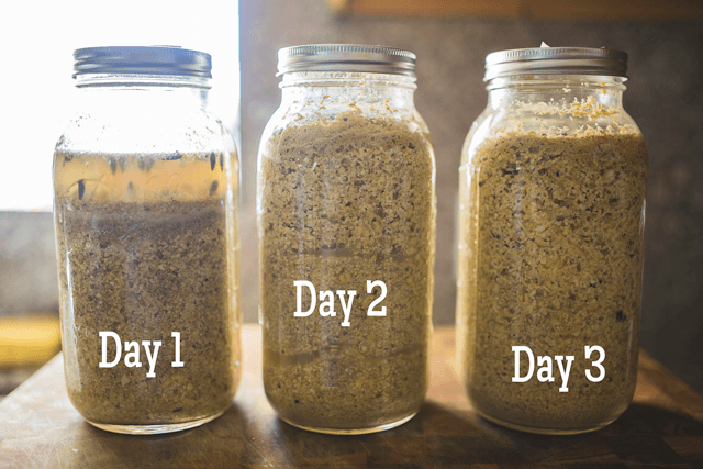 Fermented Chicken Feed - Oh Lardy