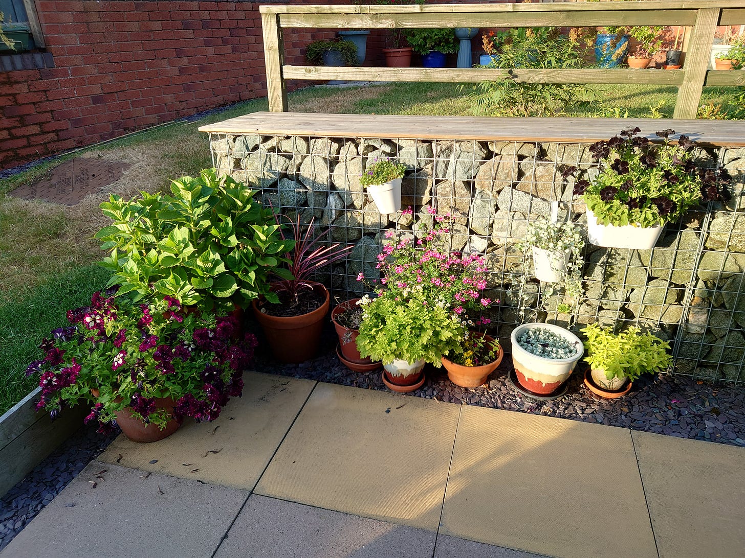 North end of gabion wall with several potted plants at its base