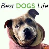 DOG'S Life logo