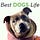 DOG'S Life