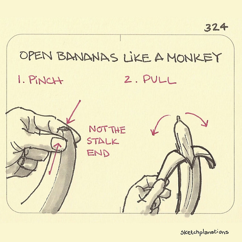 Selection of illustrated lifehacks