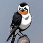 BeijingOpinion's avatar