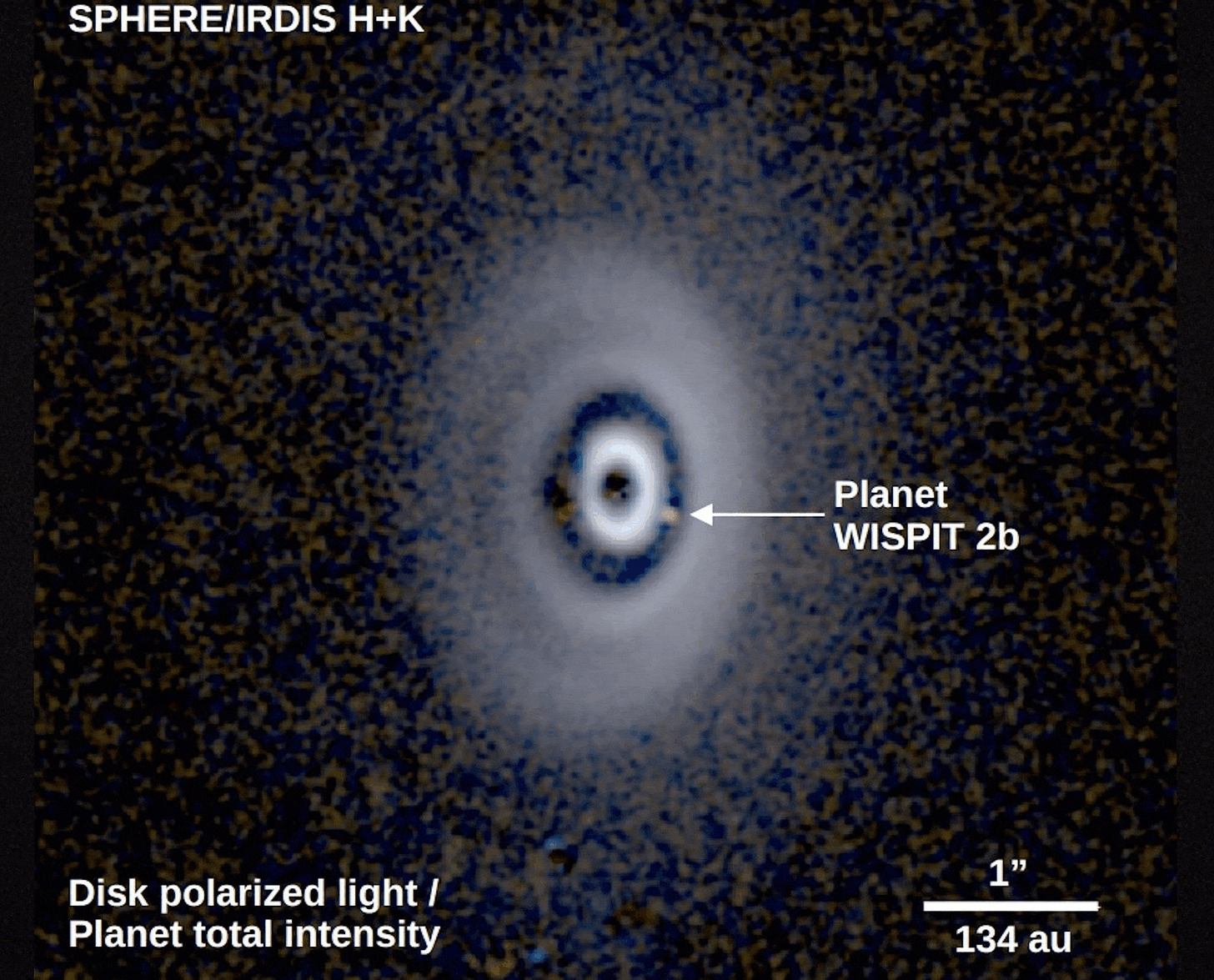 Astronomical image showing a bright ring with a label pointing to "Planet WISPIT 2b"—a potential gap-clearing planet inside the ring; scale bar indicates 1" equals 134 au. Astronomical image showing a bright ring with a label pointing to "Planet WISPIT 2b"—a potential gap-clearing planet inside the ring; scale bar indicates 1" equals 134 au.