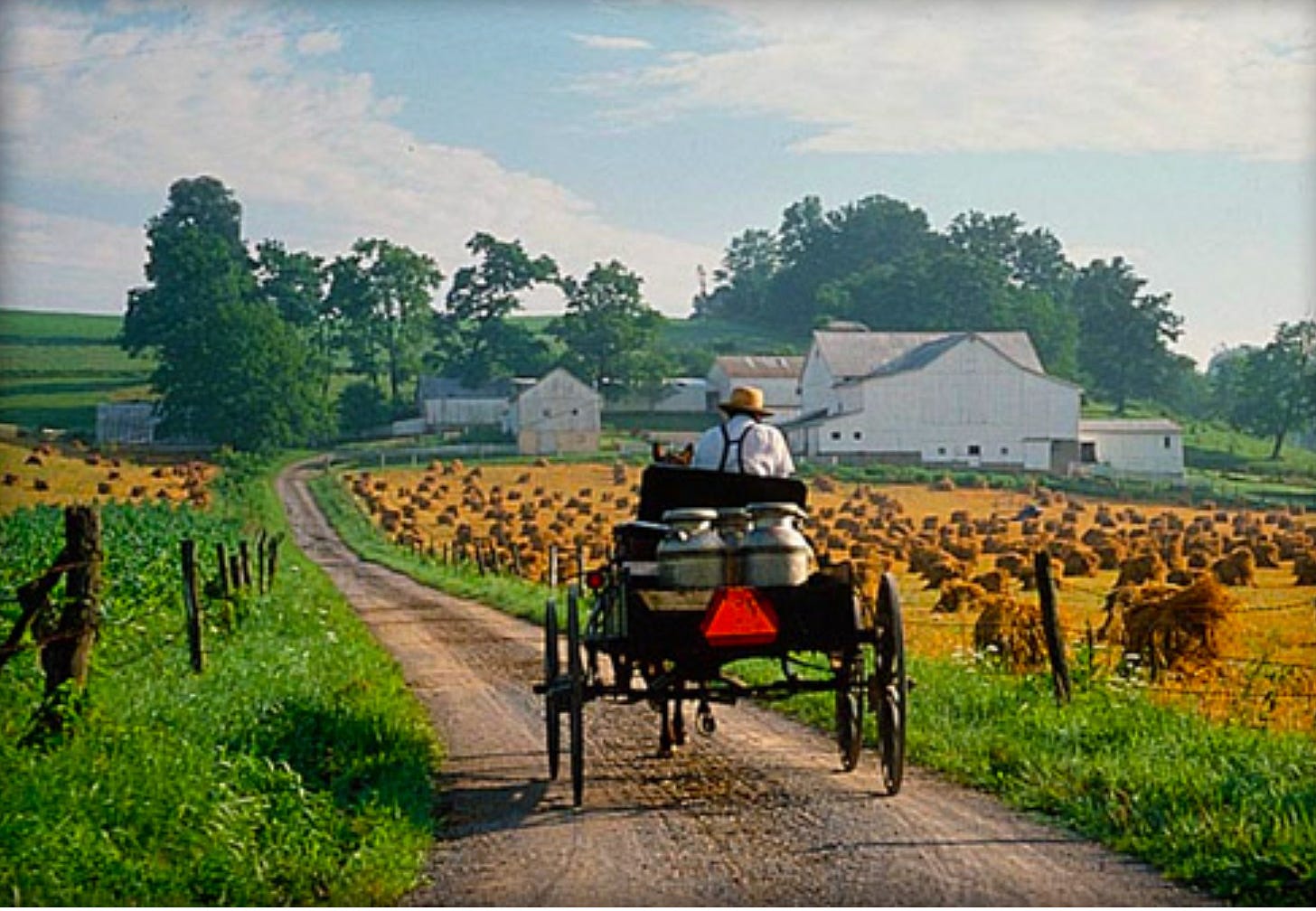 An Amish man drives a buggy with milk cans down a country lane past farms and wheat shocks. An Amish man drives a buggy with milk cans down a country lane past farms and wheat shocks.
