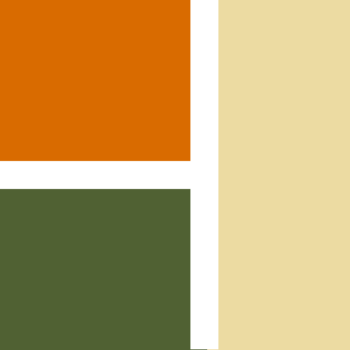 Slow Build by Nancy Scola logo