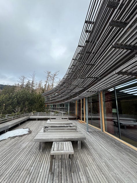 The library shelves are full of art books.