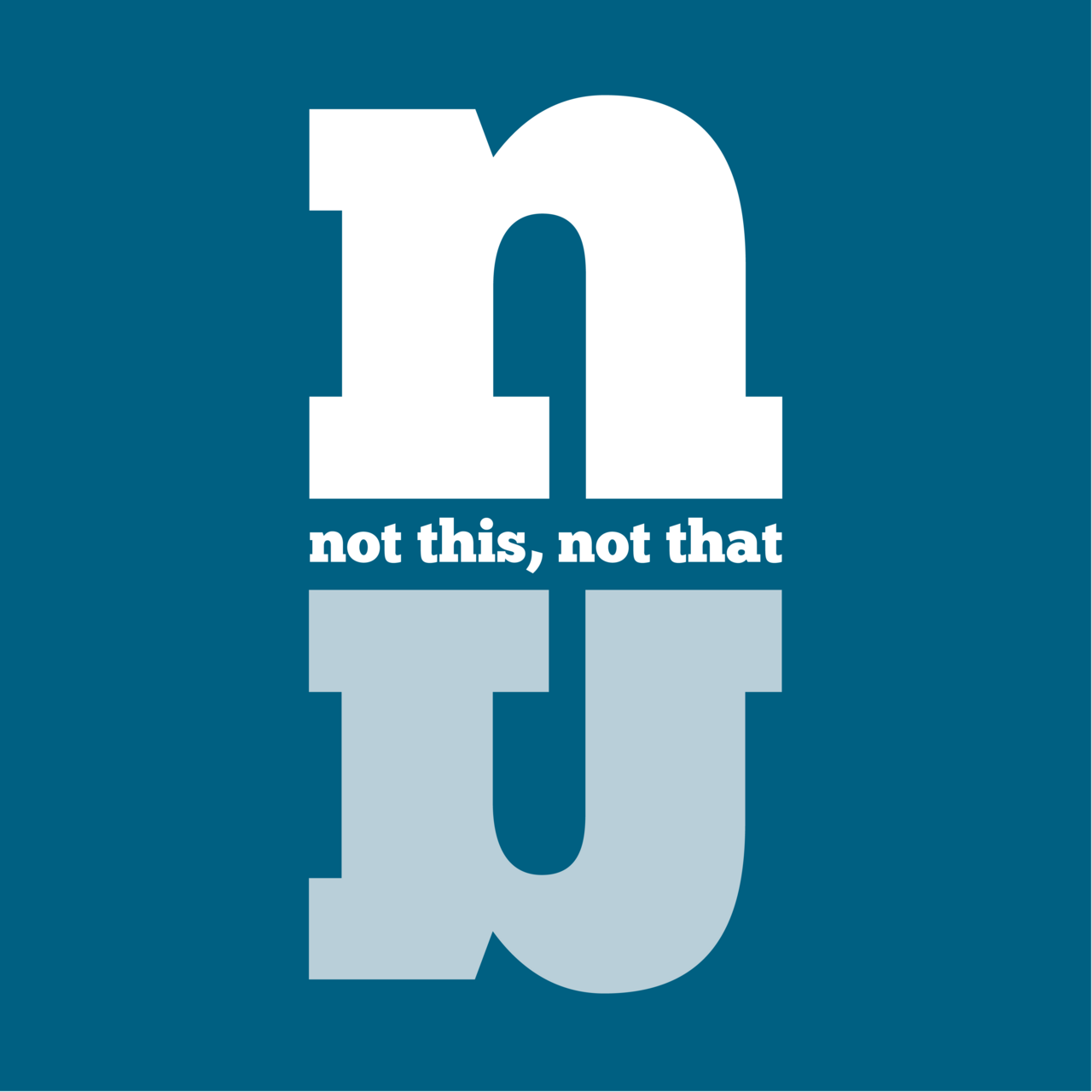 Neti Neti: A User's Guide to Reality logo