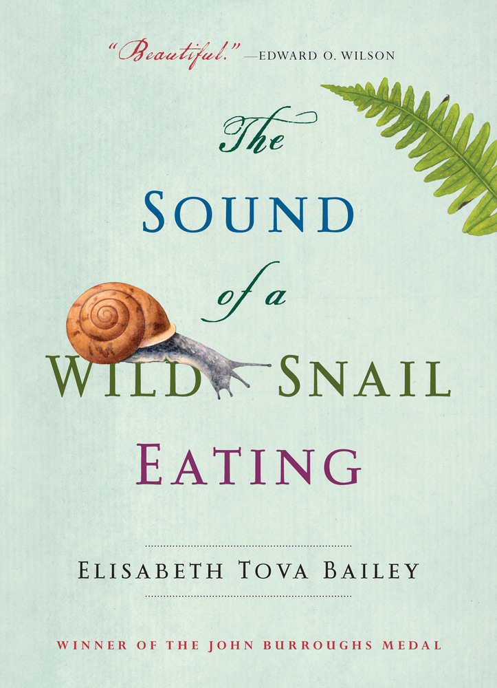 Image for The Sound of a Wild Snail Eating