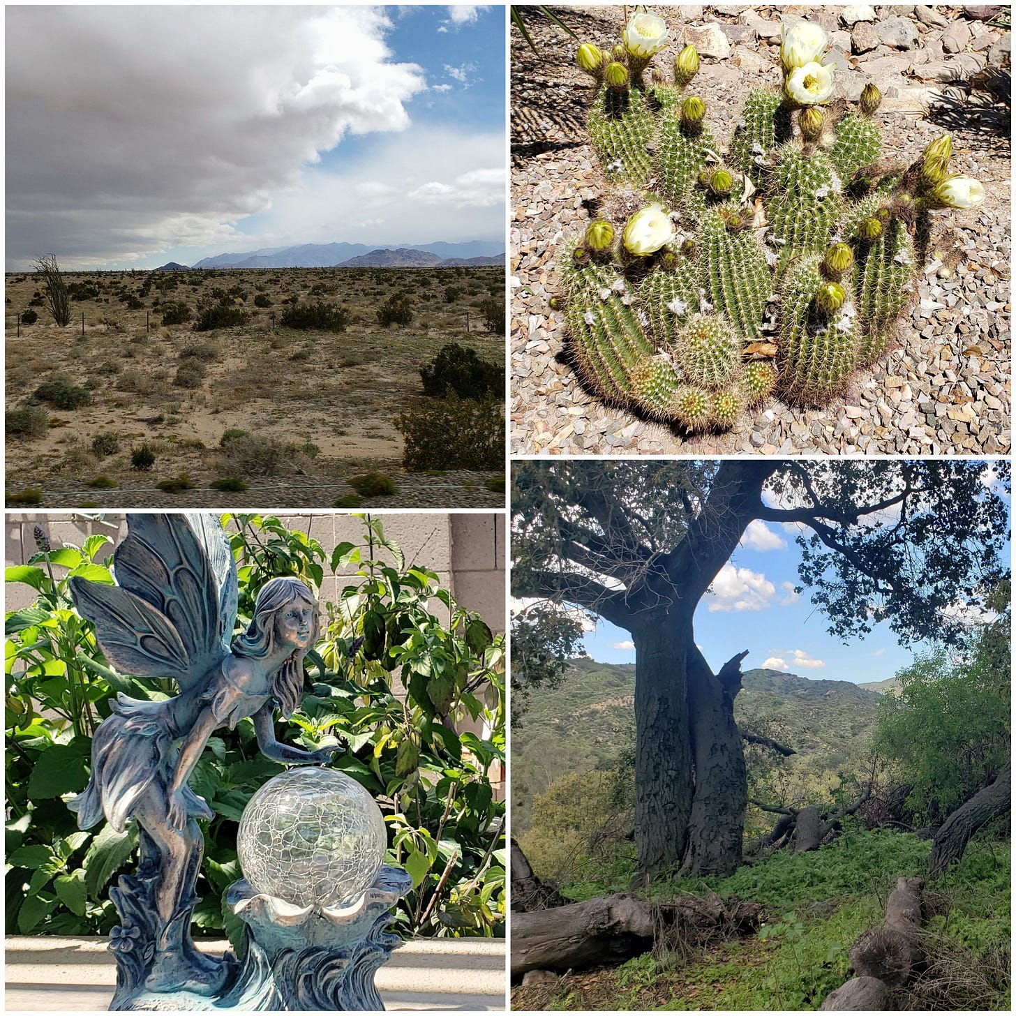 Photos from Steph's spring break.