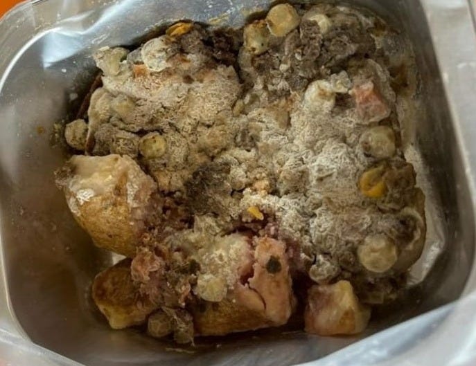 Rotten lunches remained at school without refrigeration for three days - NZ  Food Safety | RNZ News