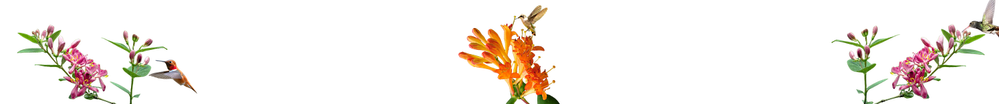 Design Rituals for Tired Women The Outdoor Room Formula for Small Spaces Design Rituals for Tired Women The Outdoor Room Formula for Small Spaces