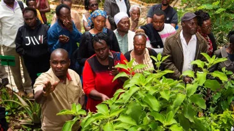 A man pointing at a plant with others gathered around him A man pointing at a plant with others gathered around him