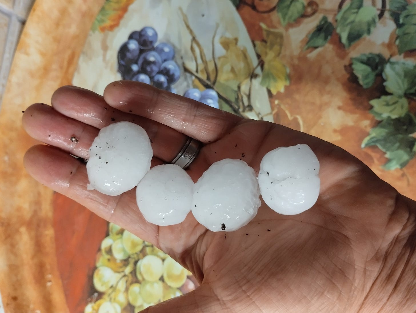 Aucune description de photo disponible.