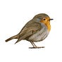 Robin Research's avatar