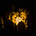 Yanlin's avatar