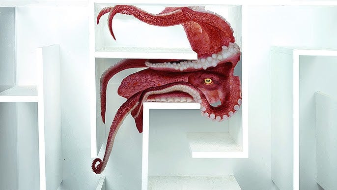 Octopus vs Underwater Maze Octopus vs Underwater Maze