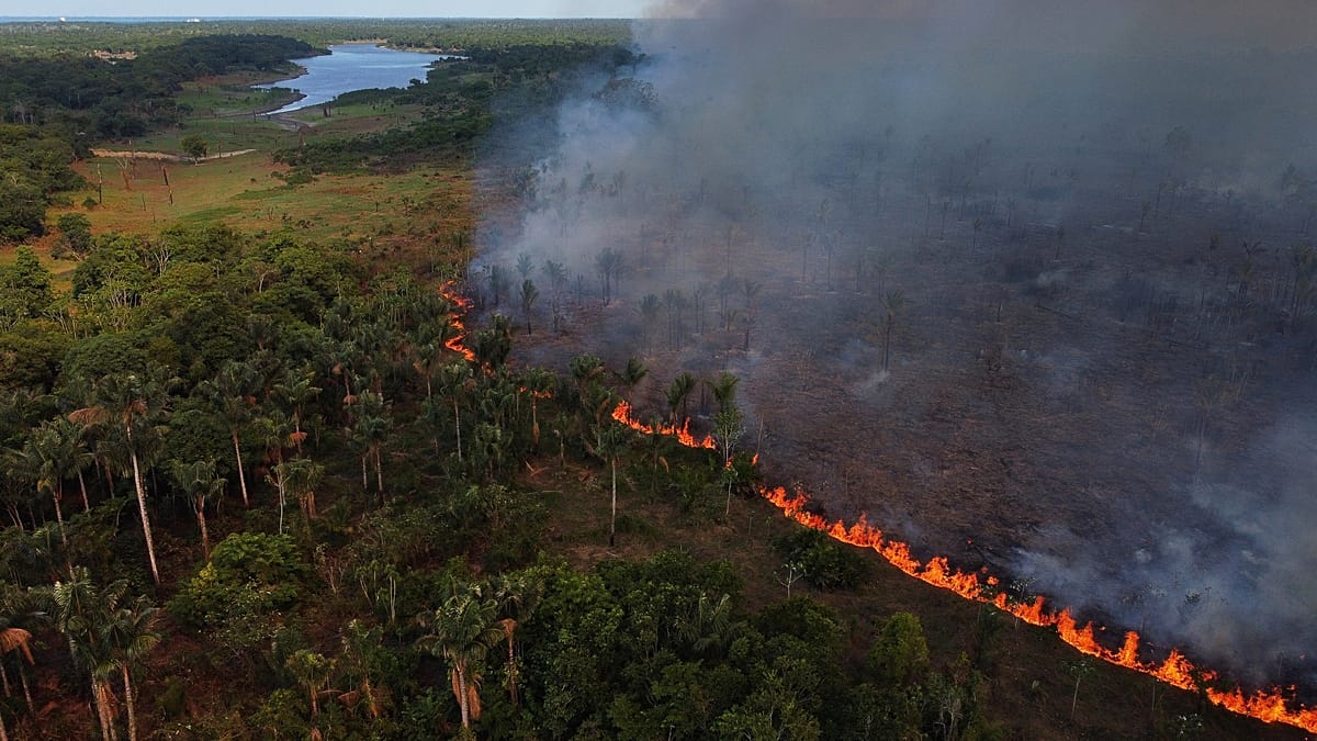Fire is now the bigger threat to the Amazon than clearing. Image: Euronews Fire is now the bigger threat to the Amazon than clearing. Image: Euronews