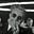 Mouin Rabbani's avatar
